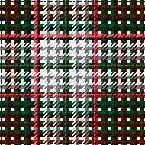 DG/4 DR16 DG16 DO6 DR2 LN24 DG4 G/2 tartan Tartan detail