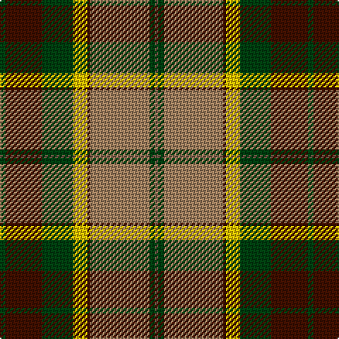 DG/4 DR26 DG22 Y10 DR2 LT42 DG4 LTa/2 tartan Tartan detail