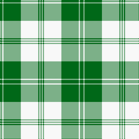 Ga/4 G4 W4 G60 W60 G4 W4 Ga/4 tartan Tartan detail