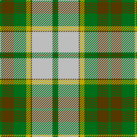 G/4 T20 G22 Y8 T2 LN36 G4 T/2 tartan Tartan detail