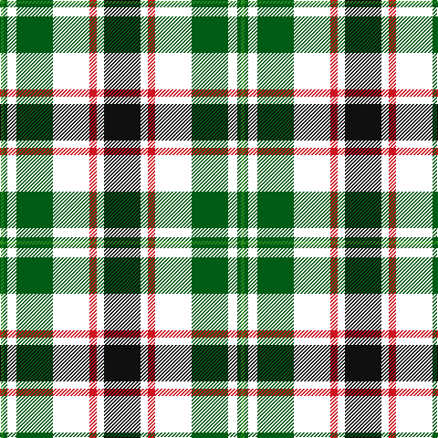 Ga/4 G4 W10 G40 W40 R8 W8 K/40 tartan Tartan detail
