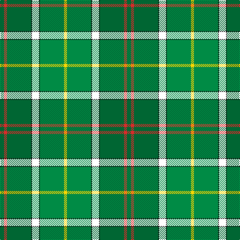 G/8 R6 G48 K2 W14 K2 Ga48 Y/6 tartan Tartan detail