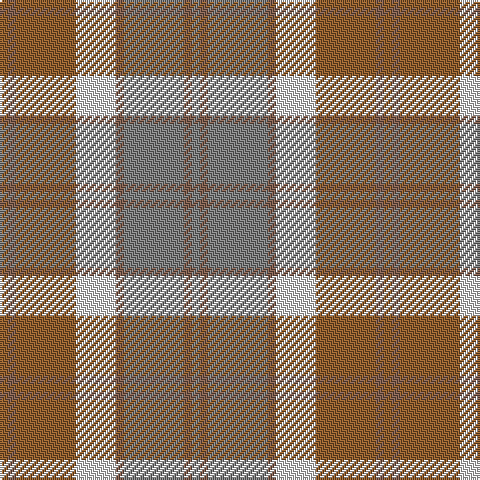 LT/4 LTa4 LT30 LN20 LTa4 N30 LTa4 N/4 tartan Tartan detail