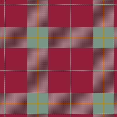 DRa/18 LG4 DRa90 LG40 DY6 LG40 DRa90 LG/4 tartan Tartan detail