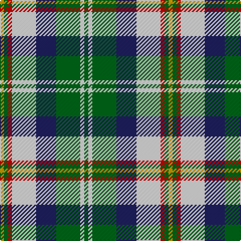 DY/4 G4 R4 LN24 DB20 G24 LN4 G/4 tartan Tartan detail