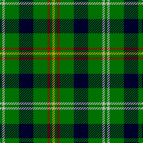 G/4 LN4 G24 DB24 G24 R4 G4 Y/4 tartan Tartan detail