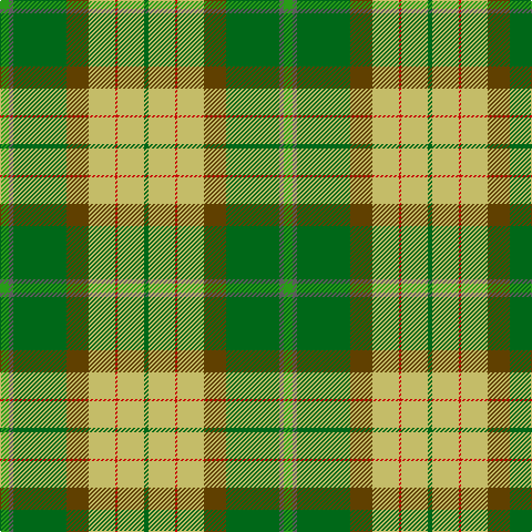 G/8 N4 Ga48 T20 LG24 R2 LG24 Ga/4 tartan Tartan detail
