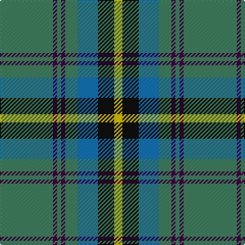 G/52 DP4 G4 DP4 G12 B20 K16 Y/8 tartan Tartan detail