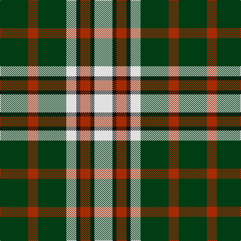 DG/56 R20 DG56 LN20 K8 R20 K8 LN/36 tartan Tartan detail