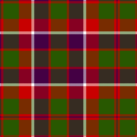 DP/4 R8 G54 R44 W10 DP50 R8 G/56 tartan Tartan detail