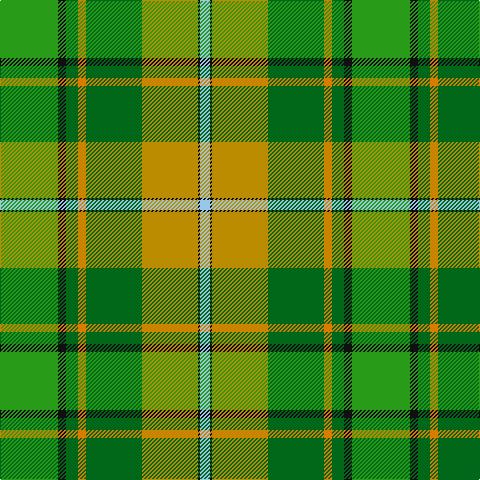 G/58 K8 Ga12 O8 Ga56 DY56 K2 LB/10 tartan Tartan detail