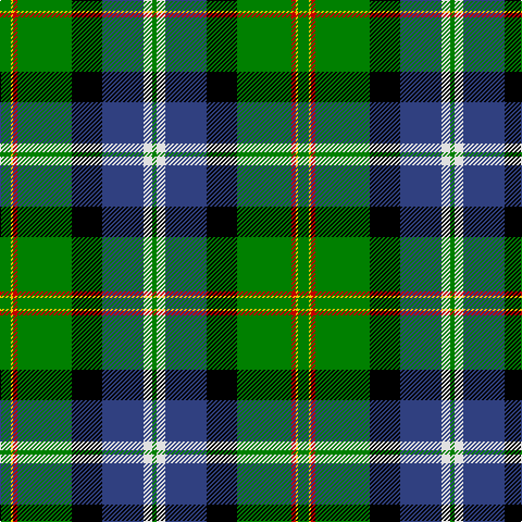 G/10 Y2 R4 G50 K28 B38 LN8 G/4 tartan Tartan detail