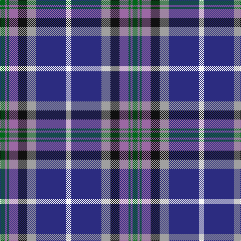 G/10 LP4 G4 LP18 K18 N18 DB60 W/10 tartan Tartan detail