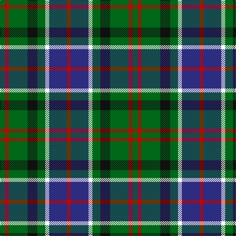 G/10 R8 G38 K20 G16 W8 DB36 R/8 tartan Tartan detail