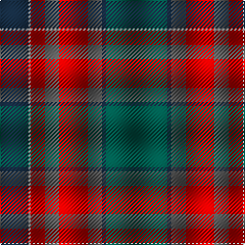 DN/28 W2 R14 N14 R28 N14 DN4 G/60 tartan Tartan detail