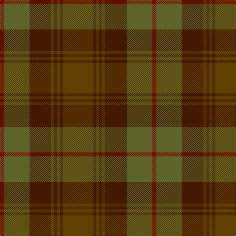 DRa/8 G52 DR44 T6 DR6 T6 DR6 T/62 tartan Tartan detail