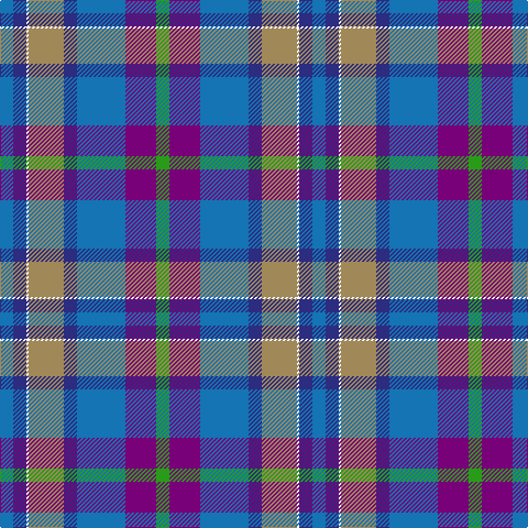 Ba/12 DB12 W2 LT32 DB12 Ba44 P28 Ga/12 tartan Tartan detail