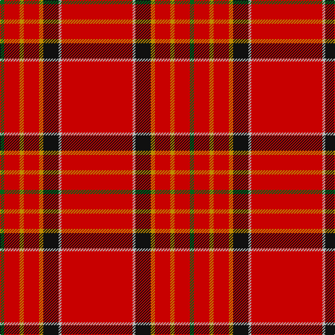 G/6 R22 DY6 R22 DY6 K22 N4 R/102 tartan Tartan detail