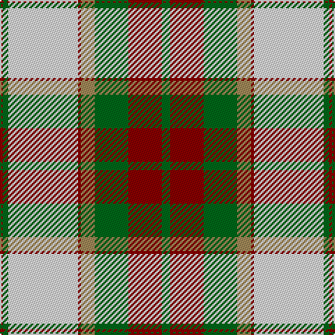 DR/2 G4 LN50 DR2 LT10 G24 DR24 G/6 tartan Tartan detail