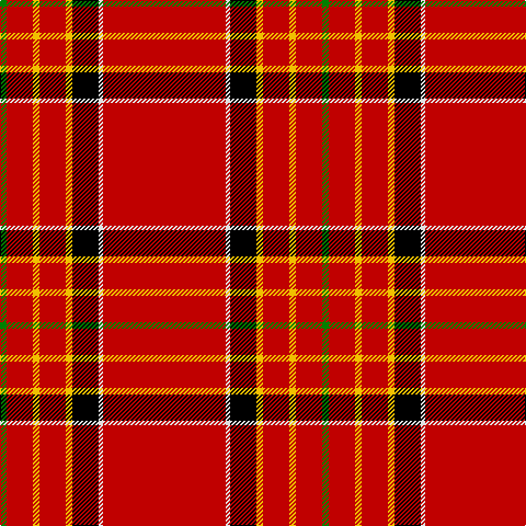G/6 R24 Y6 R24 Y6 K24 LN4 R/112 tartan Tartan detail