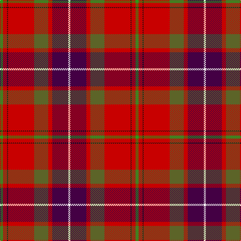 G/6 R8 K2 R52 Ga28 R8 DP32 W/4 tartan Tartan detail