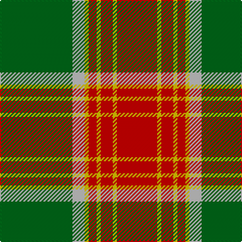 G/72 N12 Y4 R8 Y4 R12 Y4 R/40 tartan Tartan detail