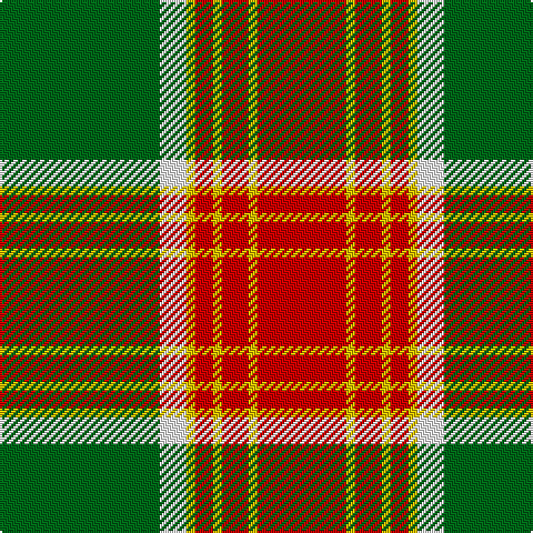G/72 W12 Y4 R8 Y4 R12 Y4 R/40 tartan Tartan detail