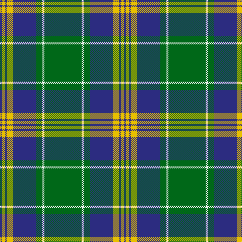 DB/4 Y6 DB4 Y12 DB46 G12 W4 G/74 tartan Tartan detail