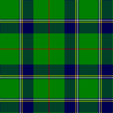 G/80 DB4 LN4 DB4 Y4 DB46 G64 R/4 tartan Tartan detail