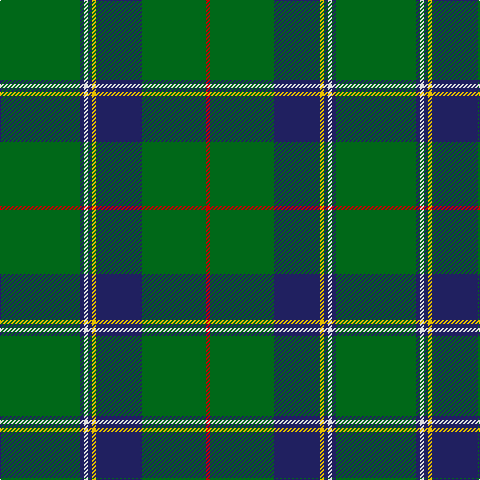 G/80 DB4 LN4 DB4 Y4 DB46 G64 R/4 tartan Tartan detail