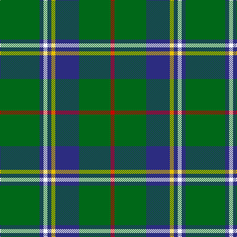 G/80 DB8 W8 DB8 Y8 DB48 G64 R/8 tartan Tartan detail