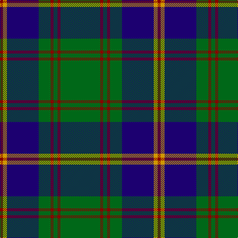 DR/6 DY8 DB64 G24 DR6 G8 DR6 G/80 tartan Tartan detail