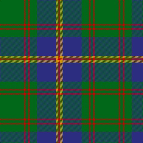 G/80 R6 G8 R6 G24 DB64 DY8 R/6 tartan Tartan detail