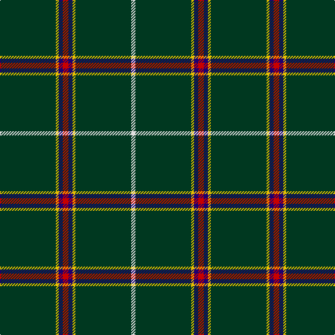 DG/80 Y4 DB6 R8 DB6 Y4 DG80 LN/6 tartan Tartan detail