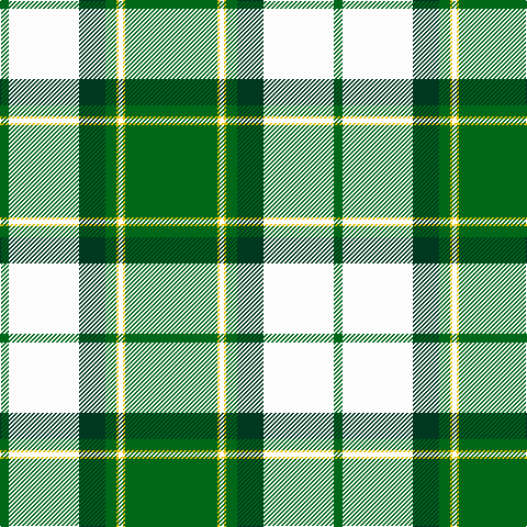 G/8 W64 DG24 G10 Y2 W4 Y2 G/84 tartan Tartan detail