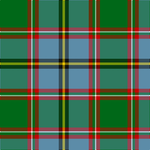 G/88 R12 W4 G8 R12 B64 K12 Y/8 tartan Tartan detail