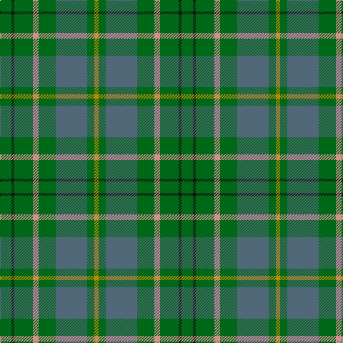 DY/6 G10 N44 G24 LR8 G26 K4 G/16 tartan Tartan detail
