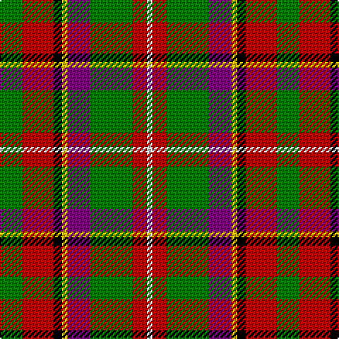 G/16 R22 K6 Y4 P16 G30 R10 LN/4 tartan Tartan detail