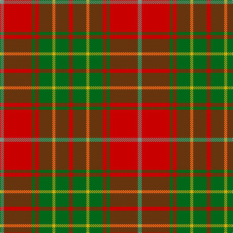 LG/8 R58 G6 R8 G28 Y6 G28 R/8 tartan Tartan detail