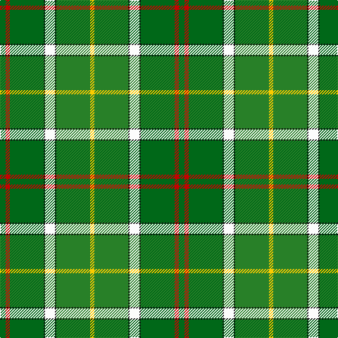 G/8 R6 G48 K2 W14 K2 Ga48 Y/6 tartan Tartan detail