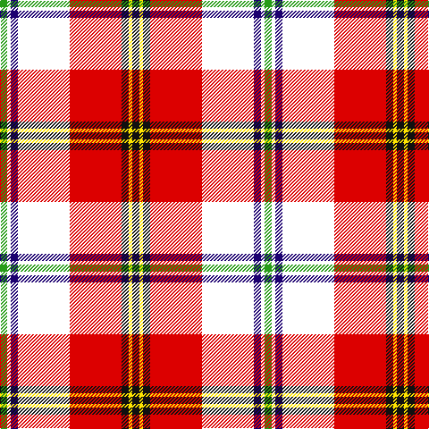 G/8 W4 DB8 W58 R58 K8 Y4 K/8 tartan Tartan detail