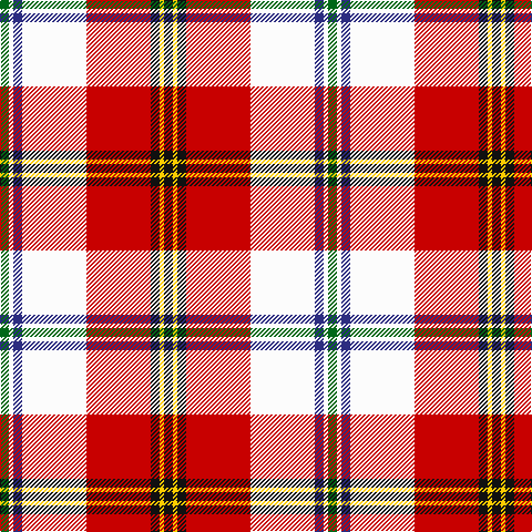 G/8 W4 DB8 W58 R58 K8 Y4 K/8 tartan Tartan detail
