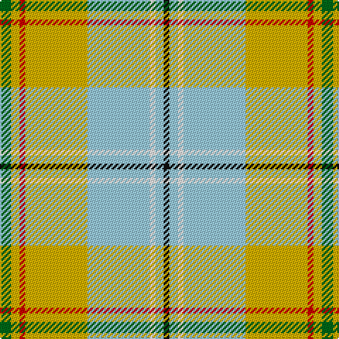 G/8 Y6 R4 Y44 LB44 W4 LB6 K/4 tartan Tartan detail