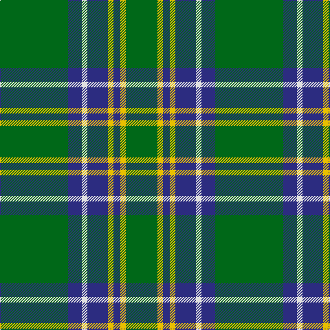 G/99 DB20 LN8 DB30 Y8 DB10 Y8 G/46 tartan Tartan detail