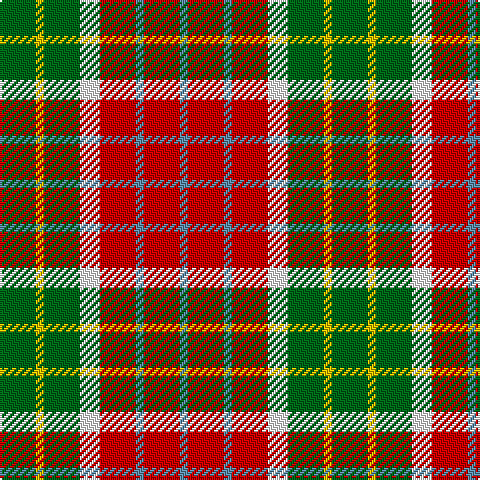G/18 Y4 G18 W10 R18 B4 R18 B/4 tartan Tartan detail