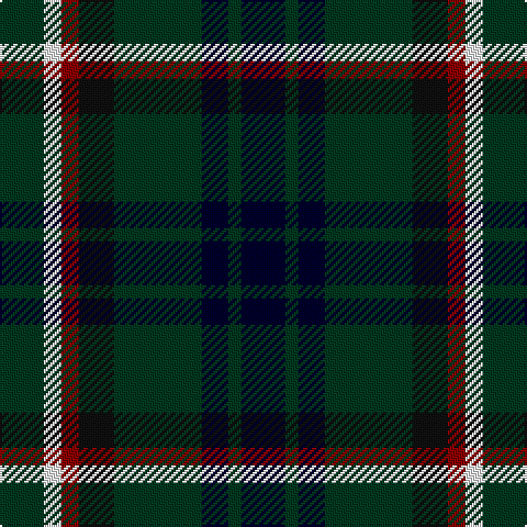 DG/20 W8 DR8 K16 DG40 DB12 DG6 DB/20 tartan Tartan detail