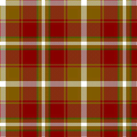 E/20 T48 DR6 T6 DR48 G6 T12 E/12 tartan Tartan detail