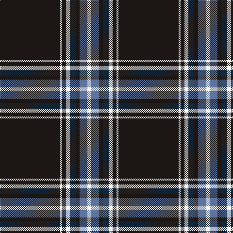K/124 W4 K8 W8 DN12 K8 B16 W/8 tartan Tartan detail