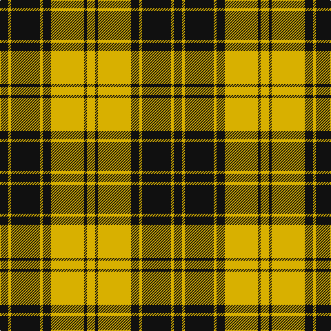 K/12 Y4 K42 Y4 K12 Y48 K4 Y/12 tartan Tartan detail