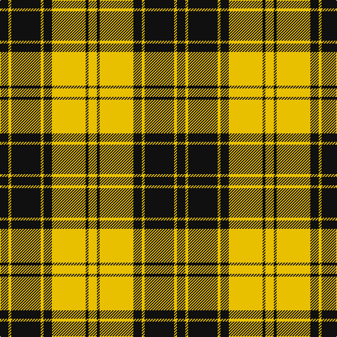 K/12 Y4 K42 Y4 K12 Y48 K4 Y/12 tartan Tartan detail